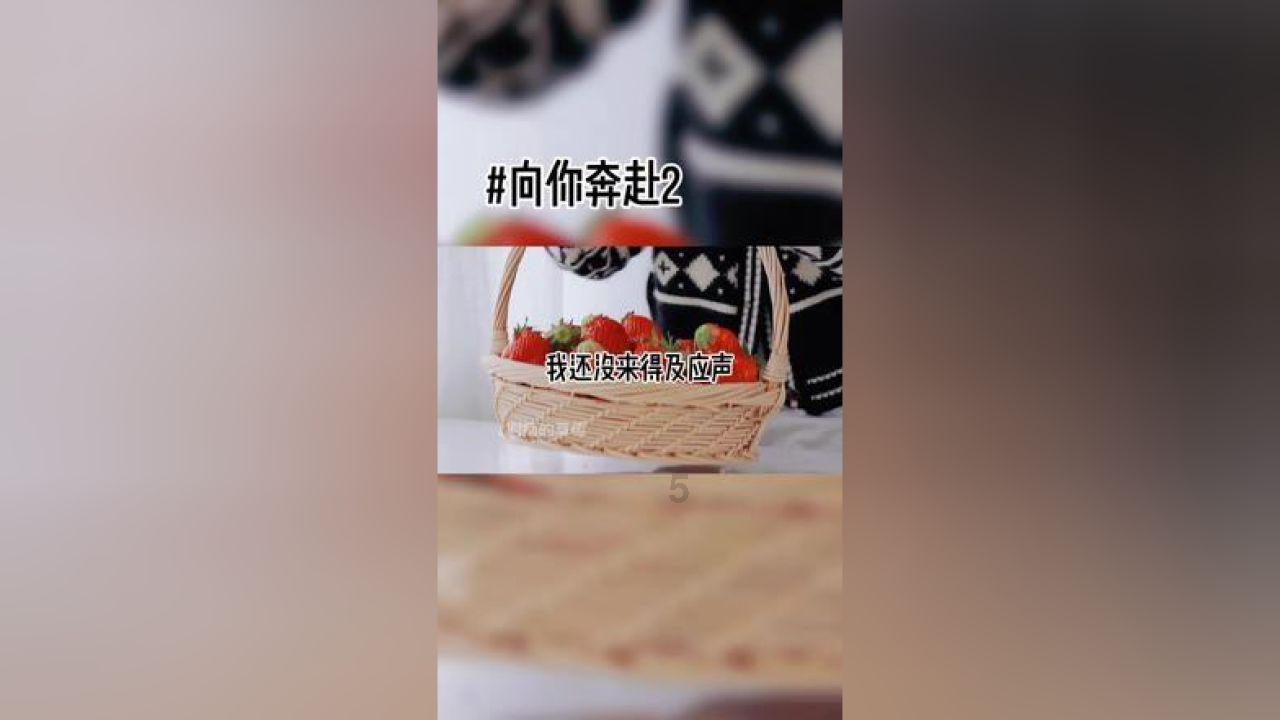 拿破仑王朝政局不稳,普鲁士经济受阻,普法最终触发了战争剧情